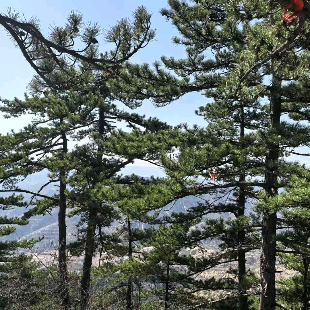 ℳ贵人遇ꦿ᭄এᩚ