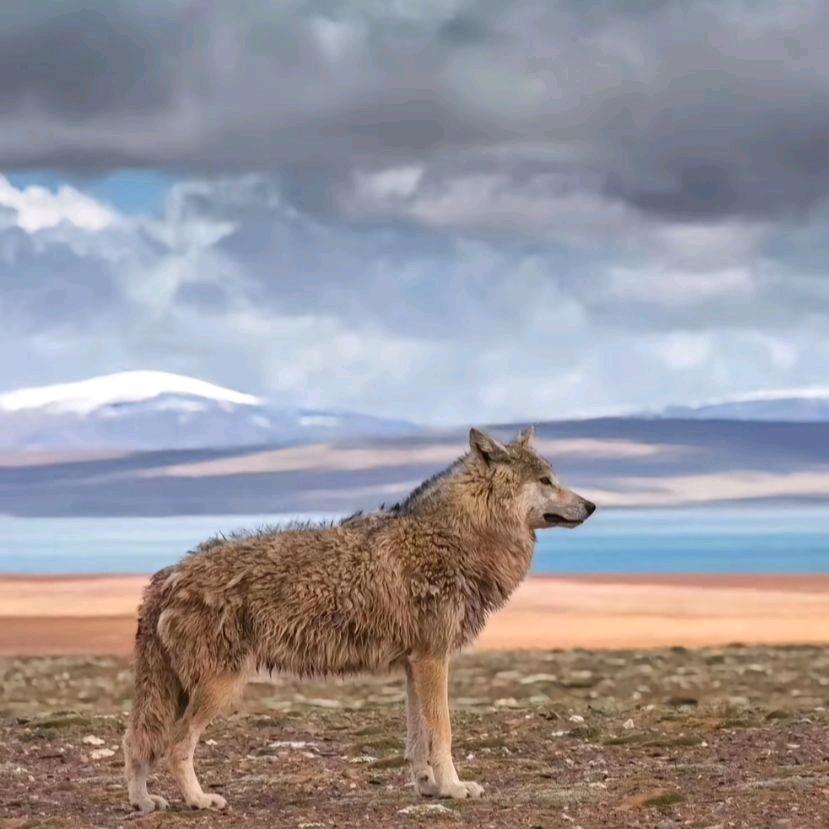 请开始你的表演
