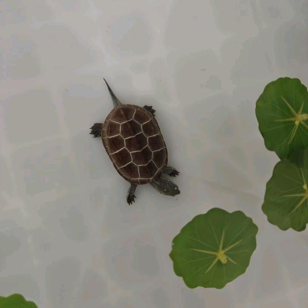 继续下一站