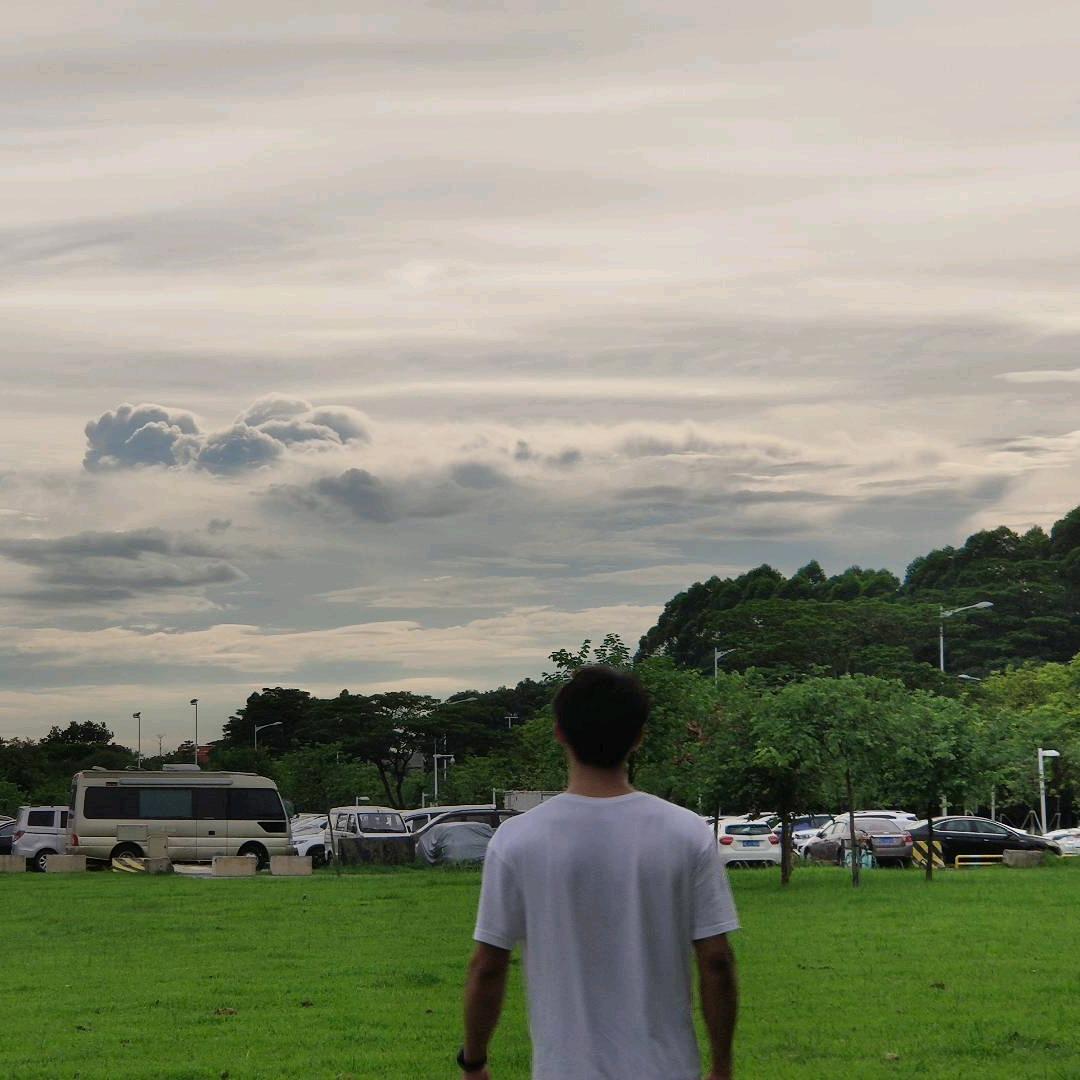 溪   枫