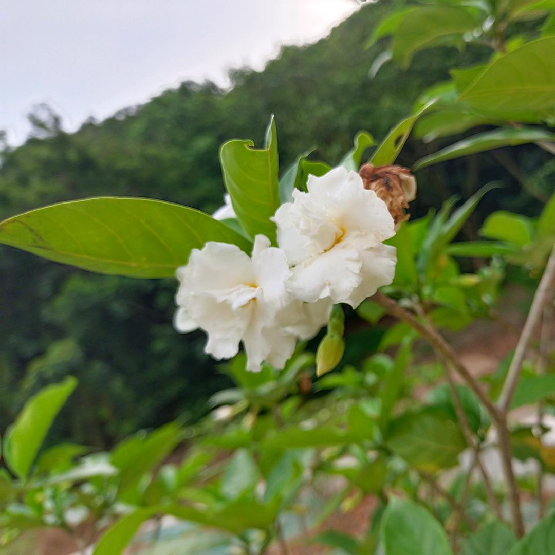 岁月静好