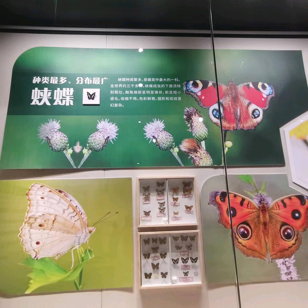 外贸毛巾浴巾方巾