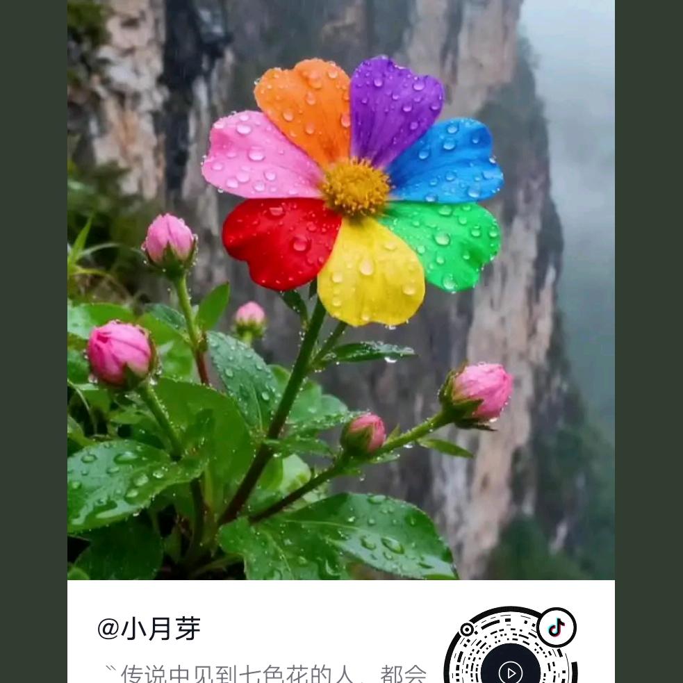 经典老歌