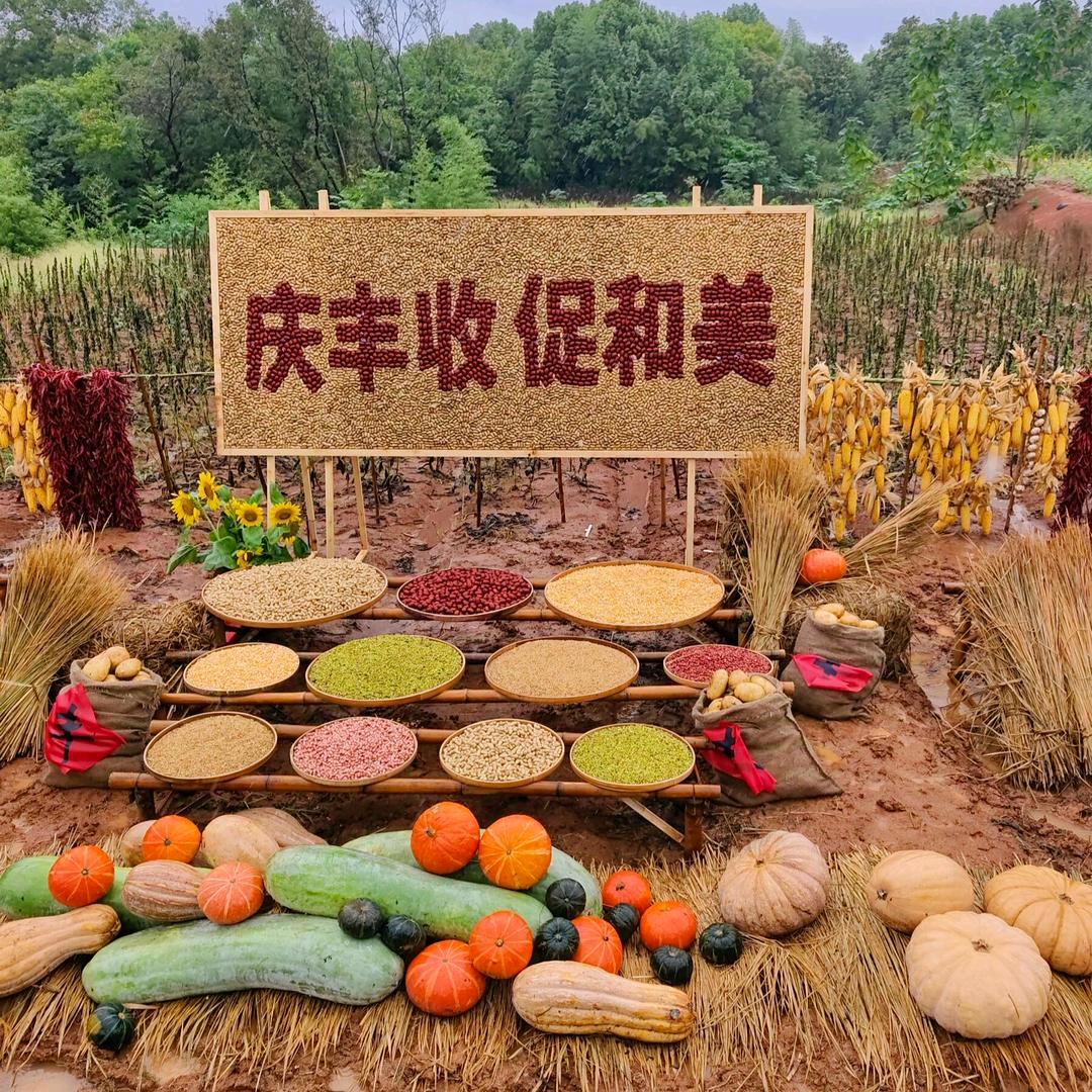 农业种植技术研究员
