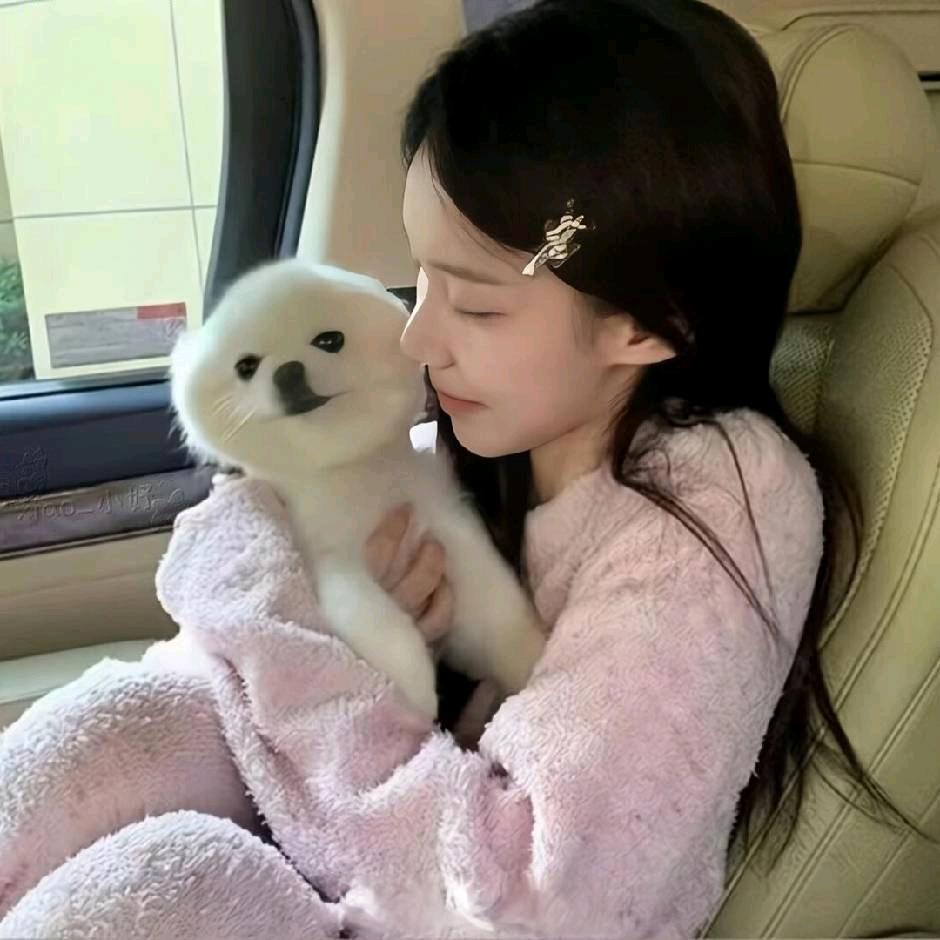 小赵.