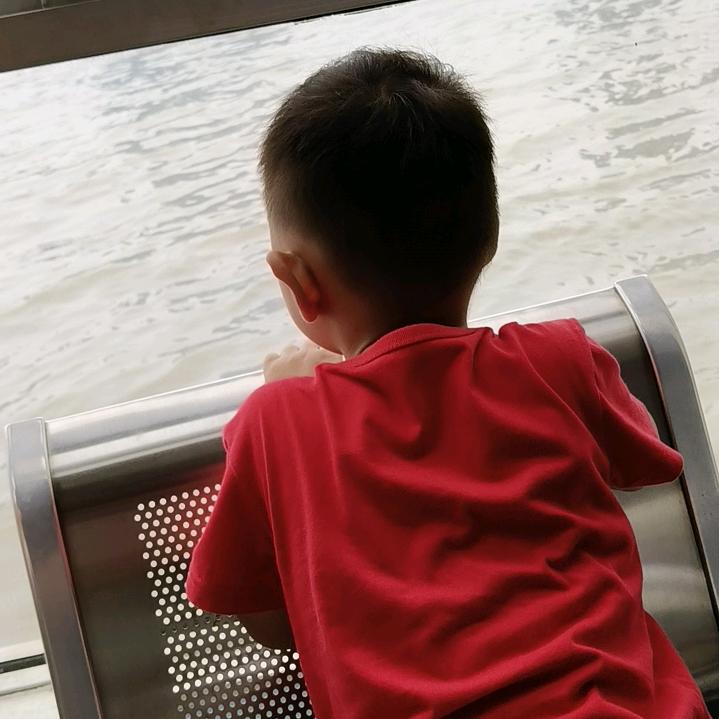 林沐橙-辰宝