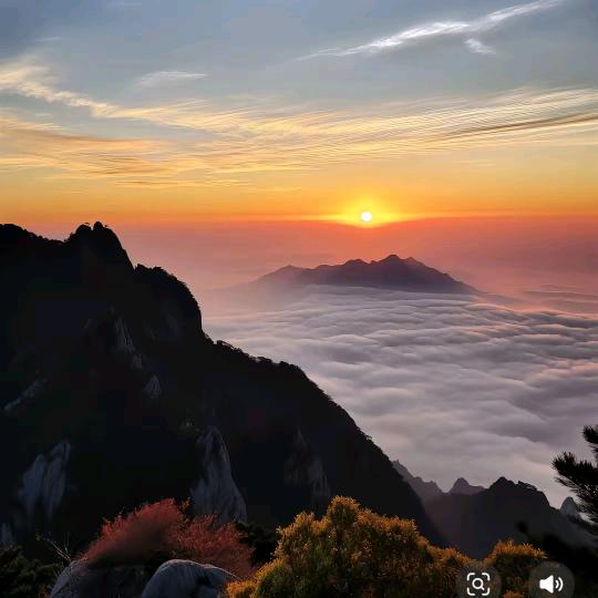 优美智家直播666号