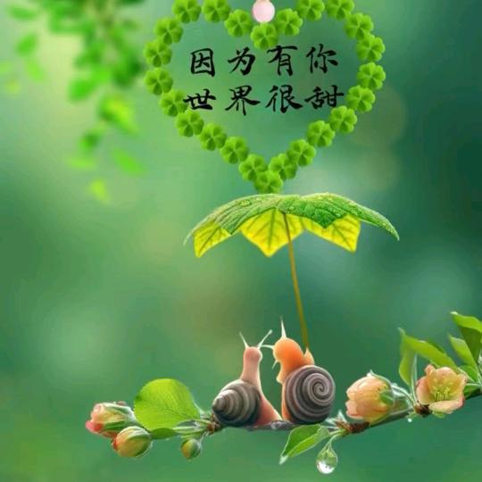 楚雄装修找品尚796元每平全包精装含柜子