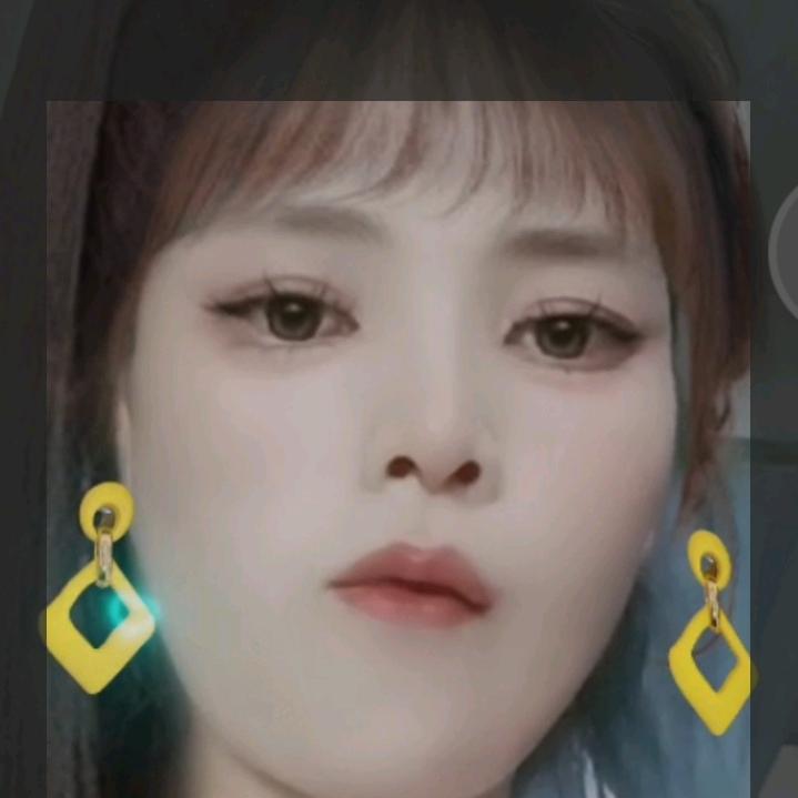 小燕子