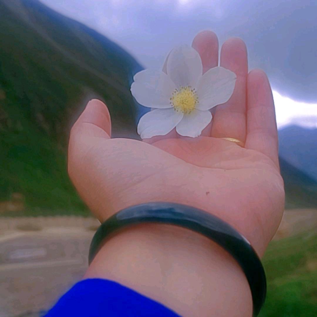 永远开心🌹🌹