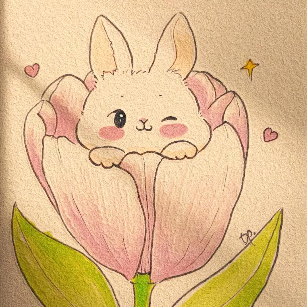 夏天的风🌞头像