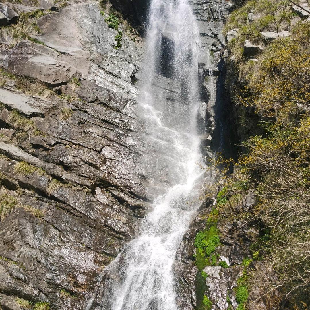 佰家云投