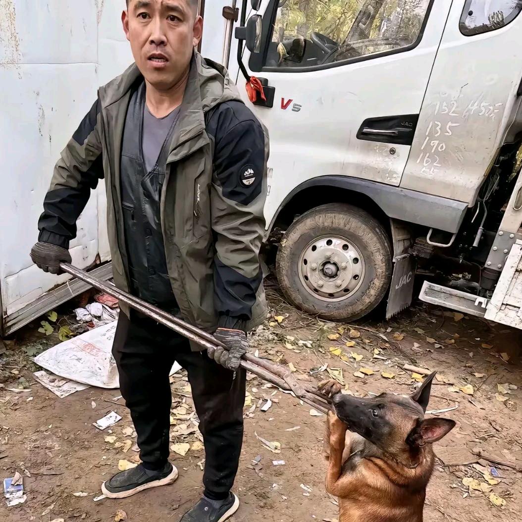 AAA.专业剥狗贾师傅