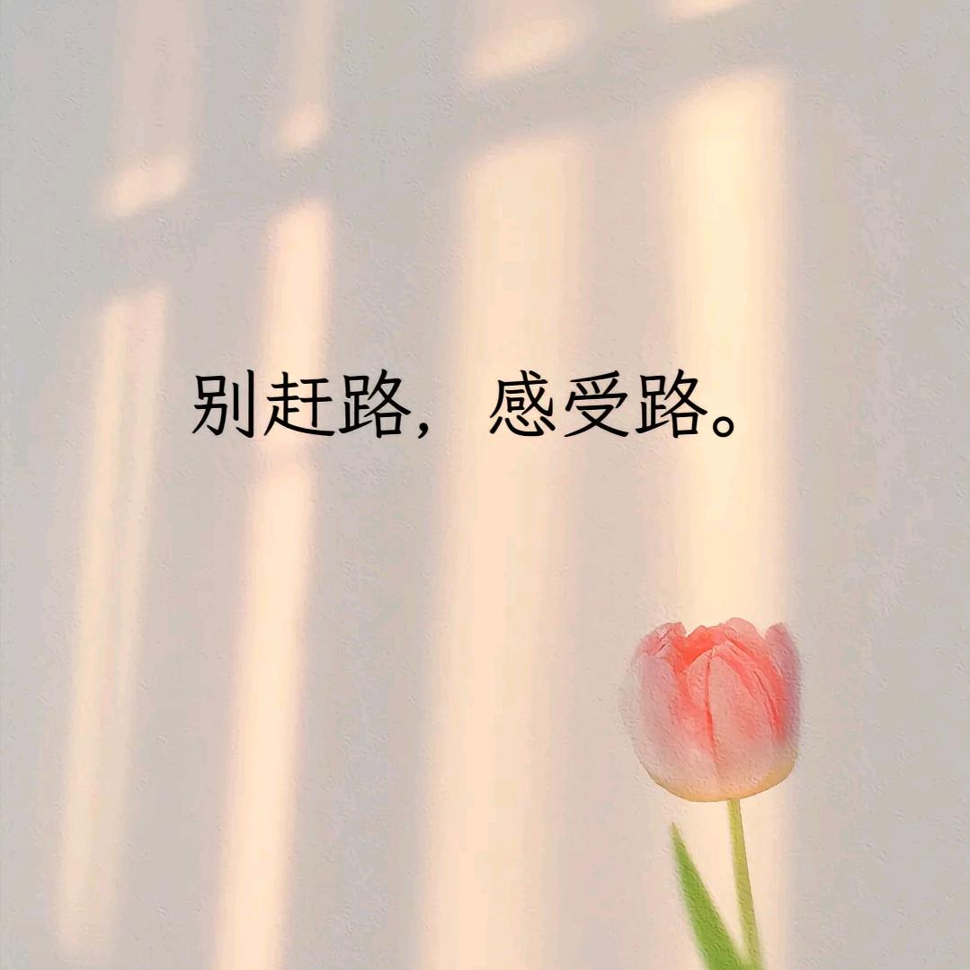 是金曼呀！