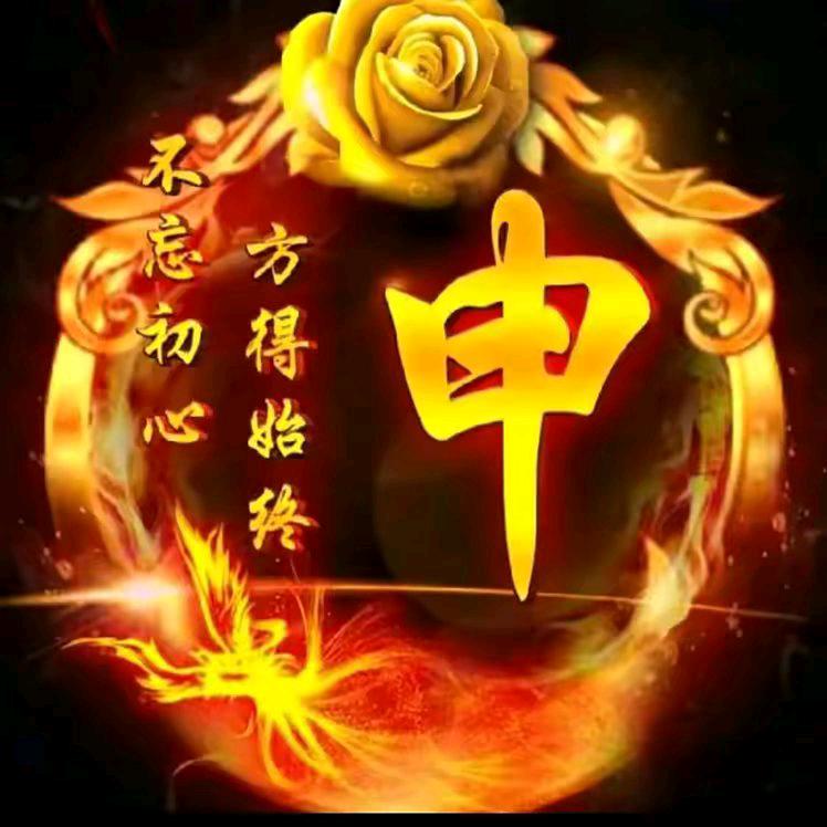 申哥时间可以冲淡一切