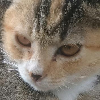 茉莉花💋💞