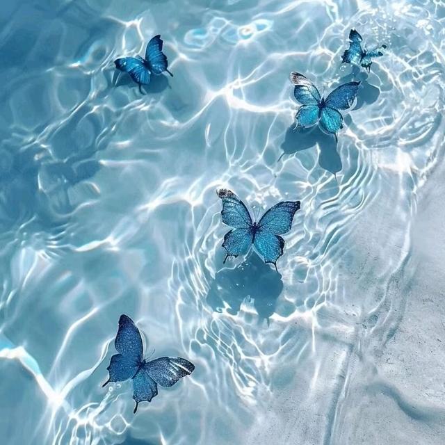 小寗才不会走丢.