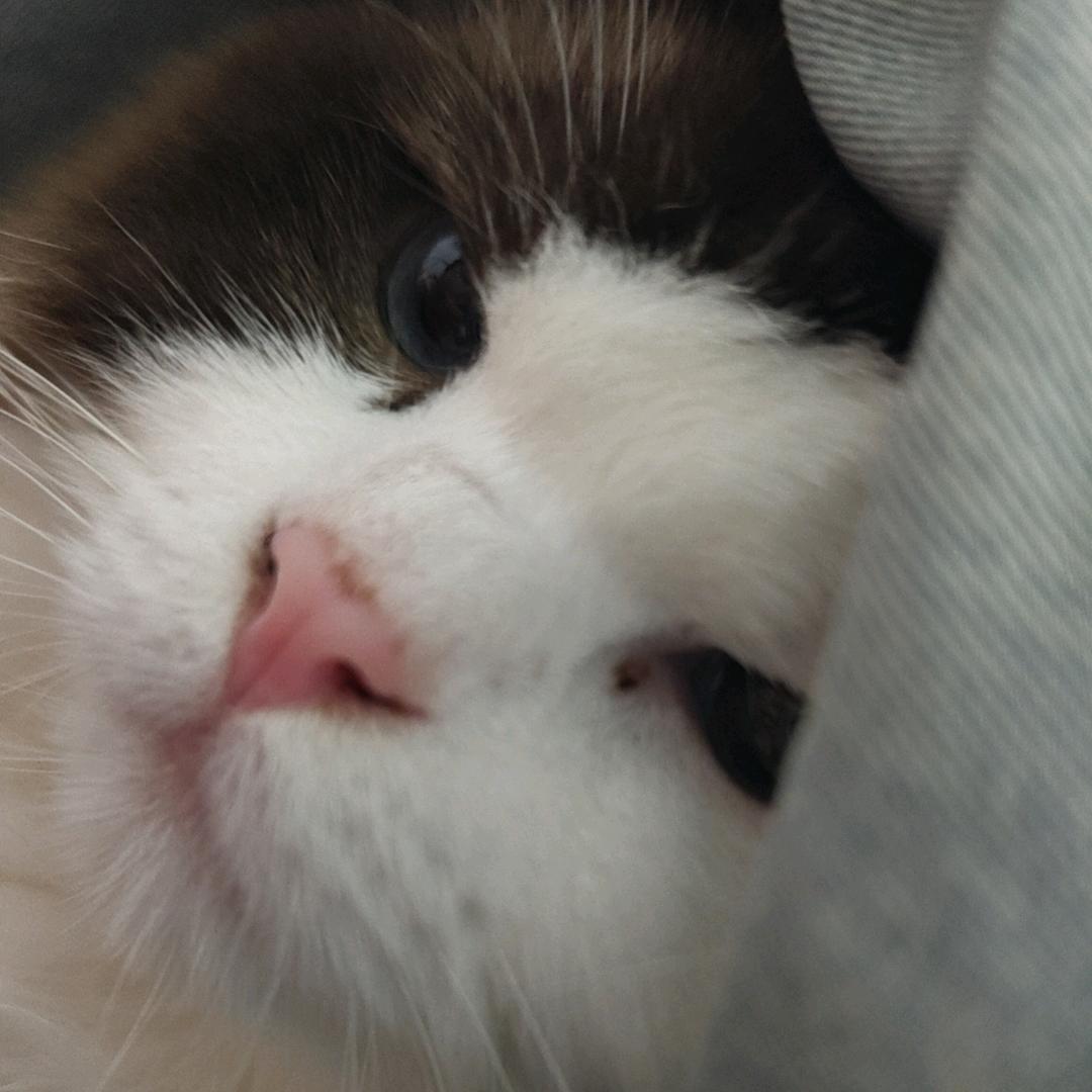阿蛋o.O