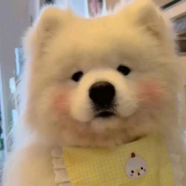 ٨ـﮩﮩ٨ـ♡ﮩ٨ـﮩﮩ٨ـ
