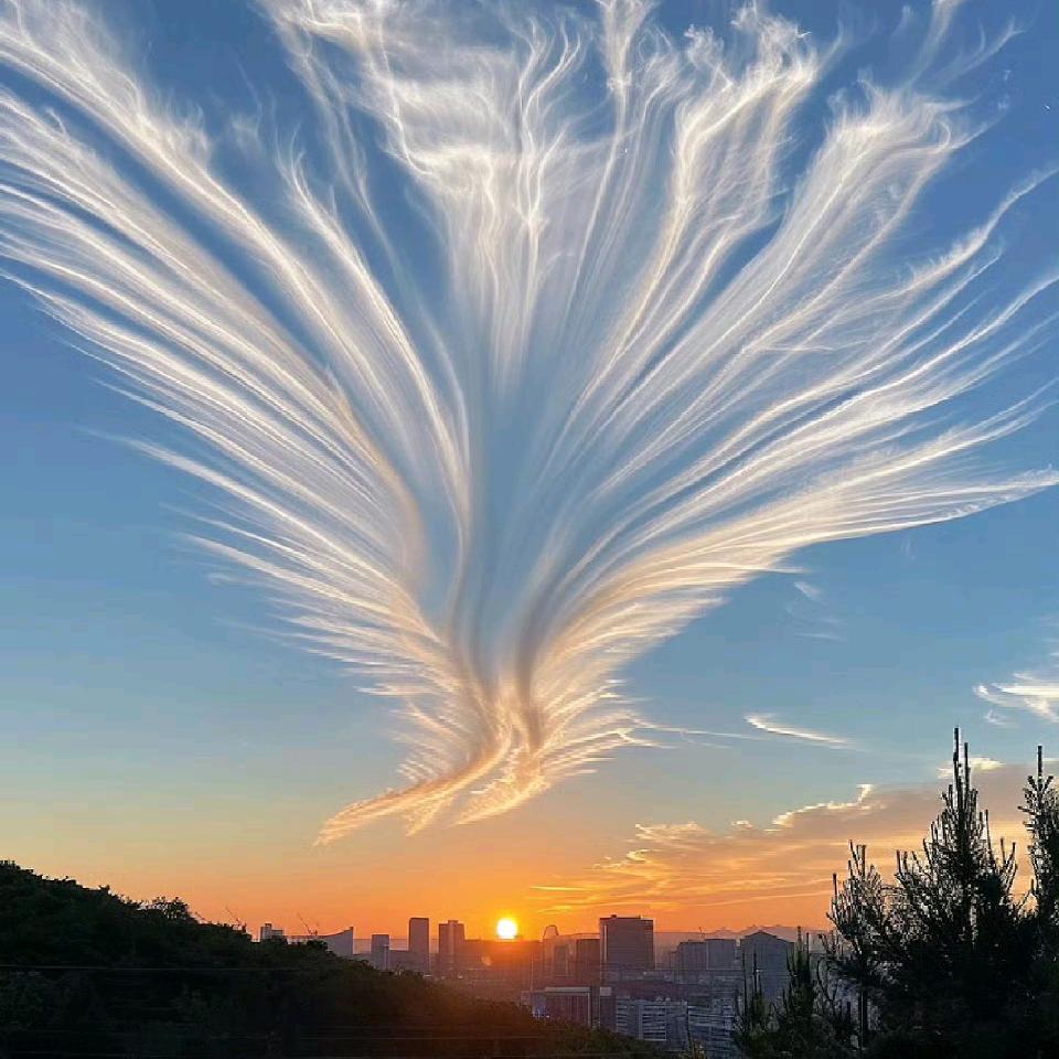 云上牧羊
