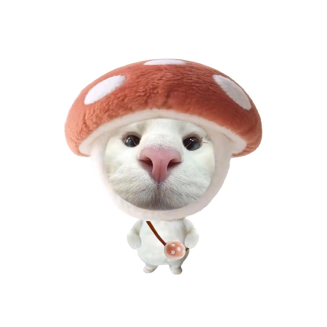 忘事星星派🥧