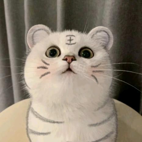 小虎崽汁
