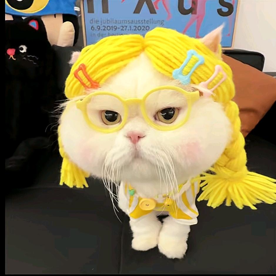 青争大老爷