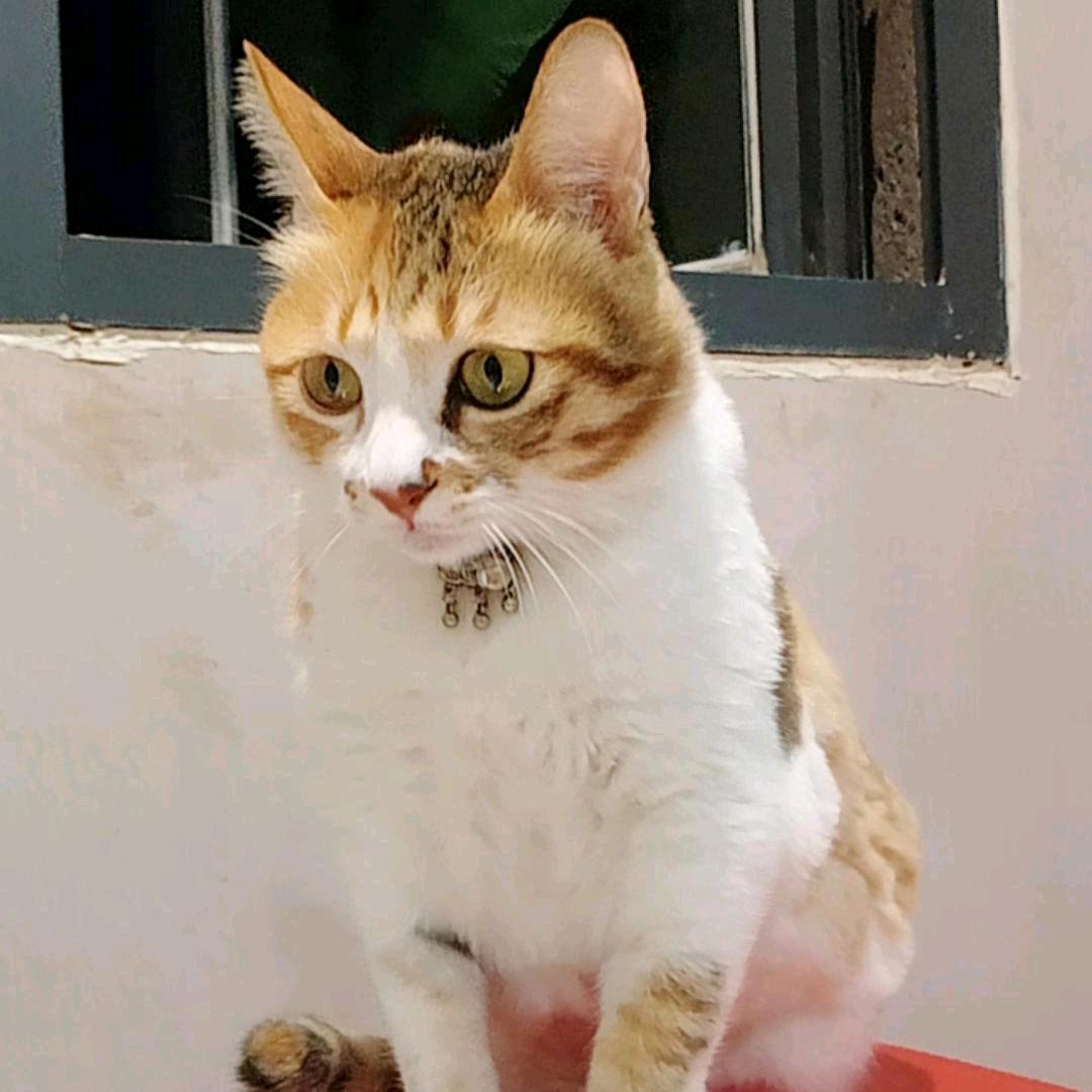 *^O^*珍*^O^*惜╭(╯ε╰)╮