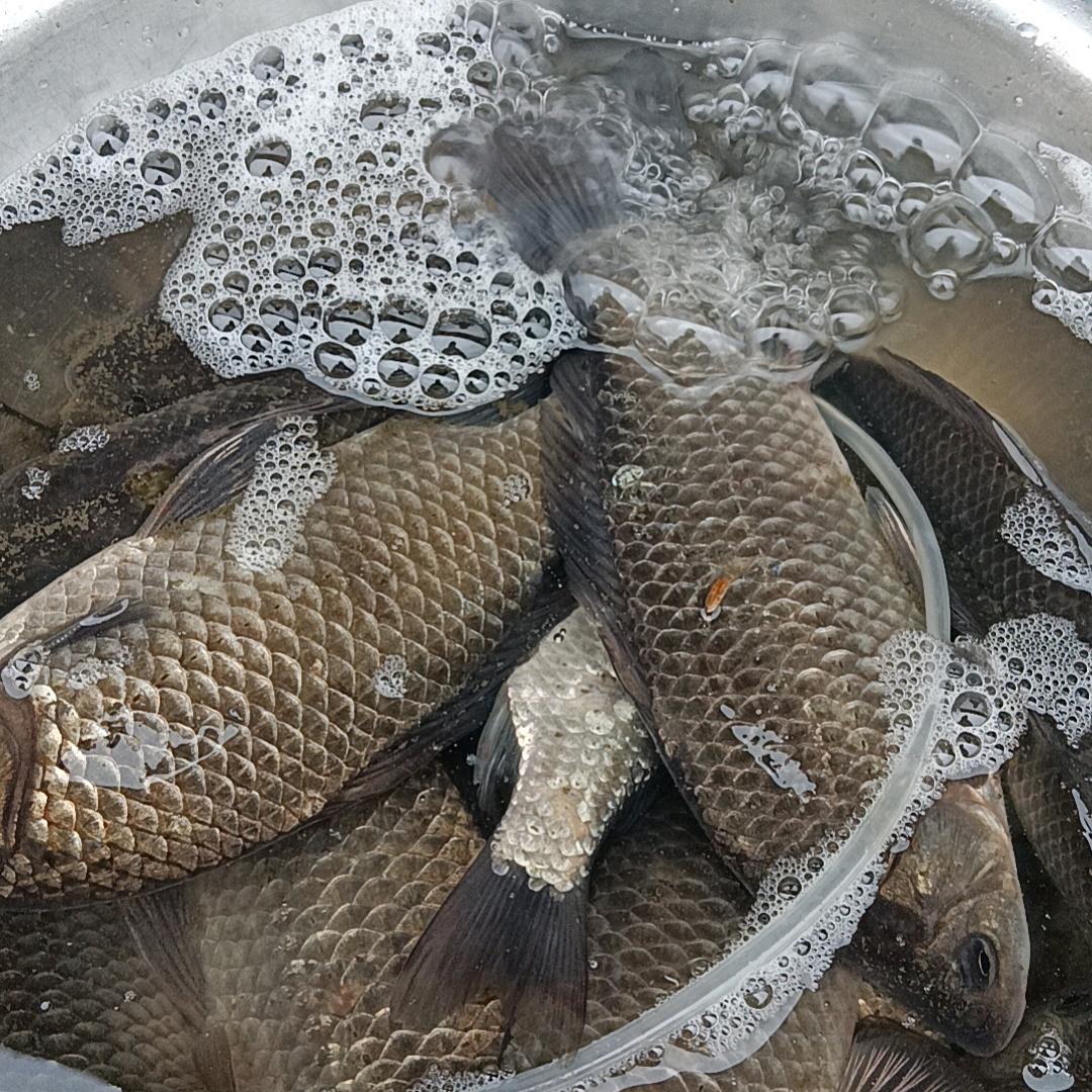 康康户外