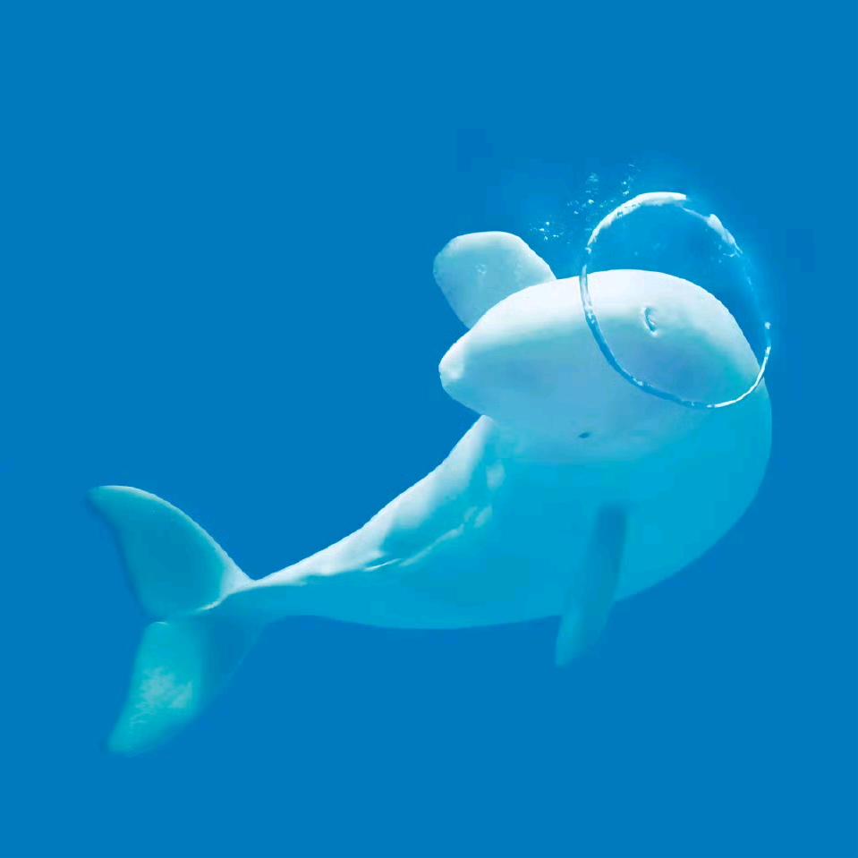 古讽炒糖浆