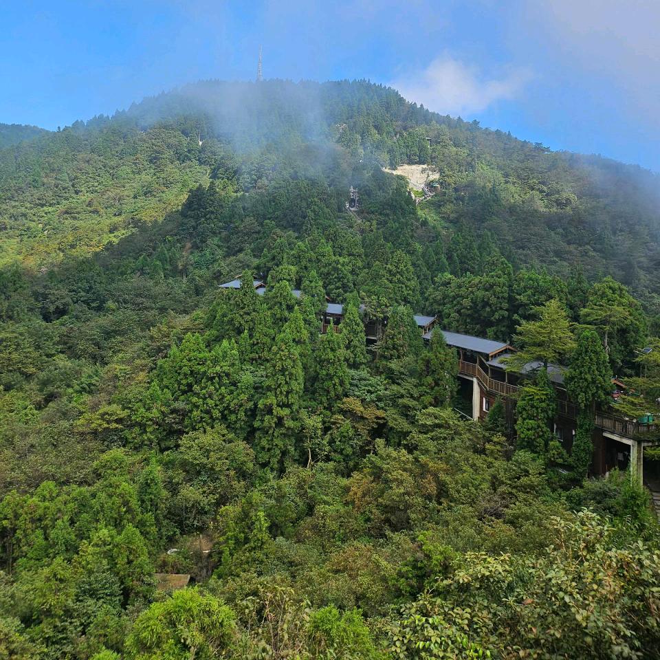 🦅平凡💖的力量🐯🦋