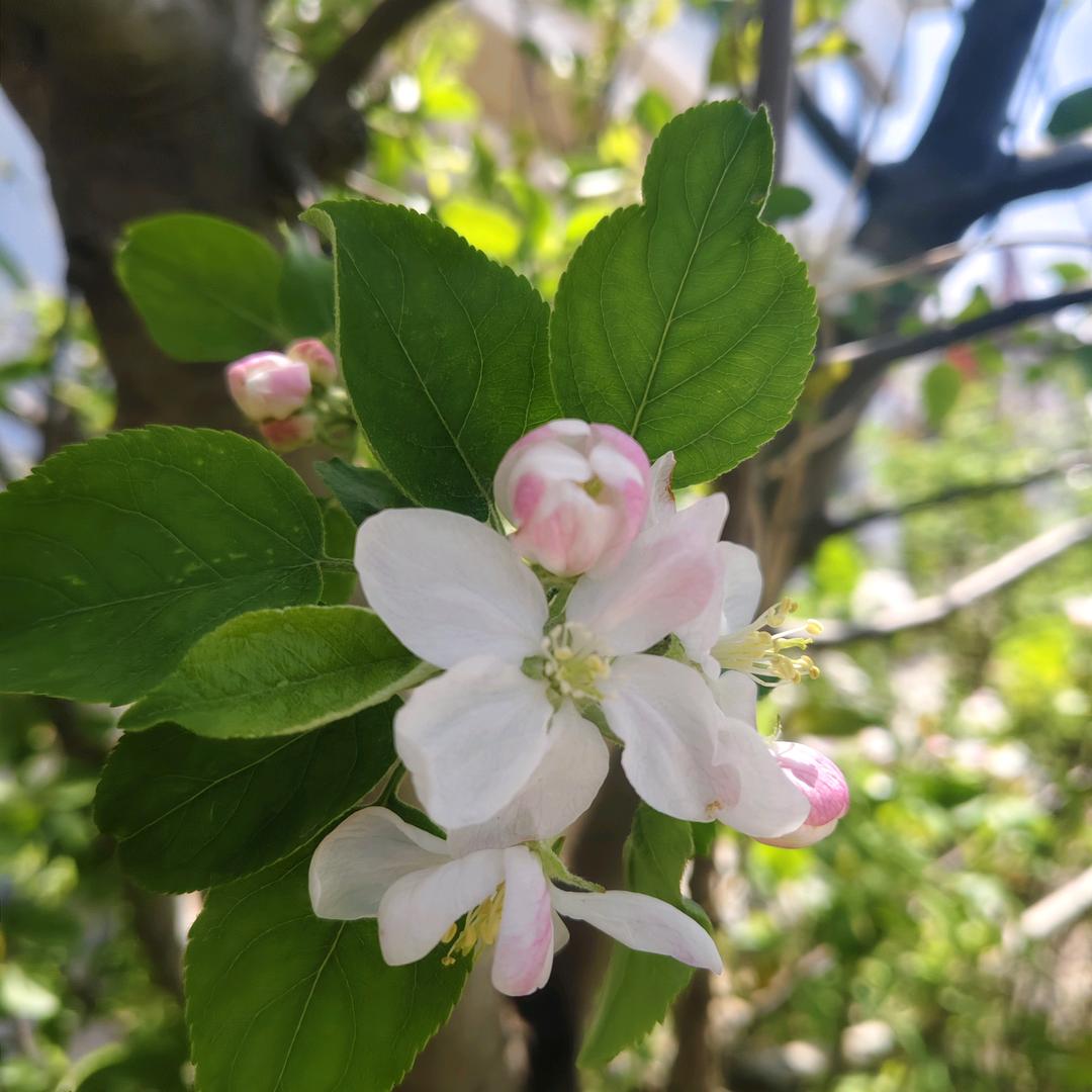 辛苦奋斗的一代