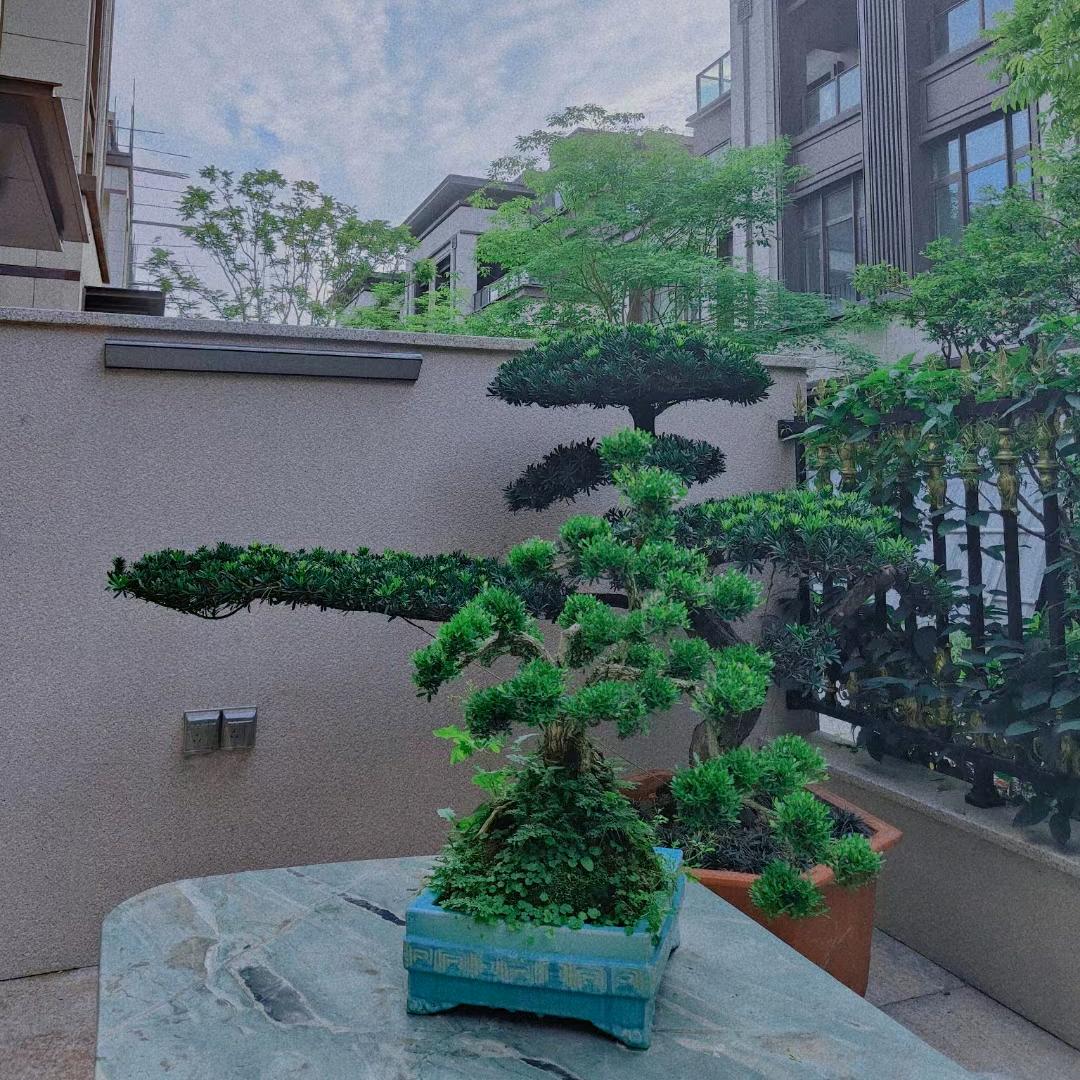24小时在线小陈