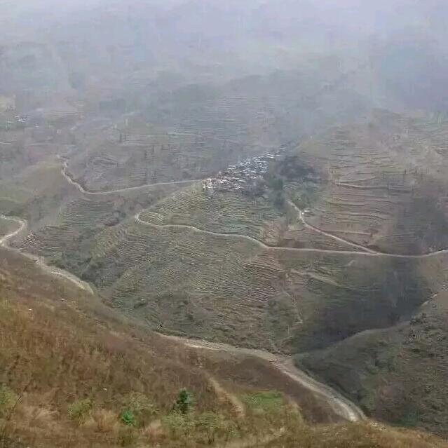 孤独的野兽