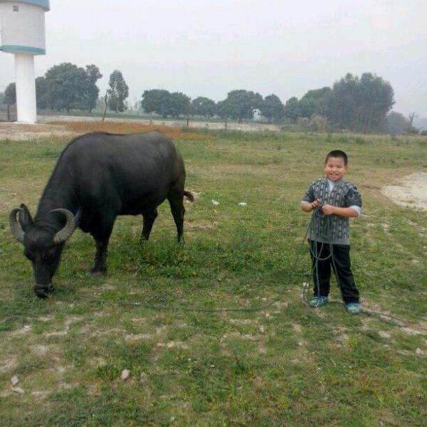 প꯭᨞兜兜🌾有米ོ࿐