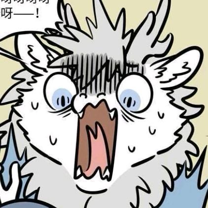 张xx