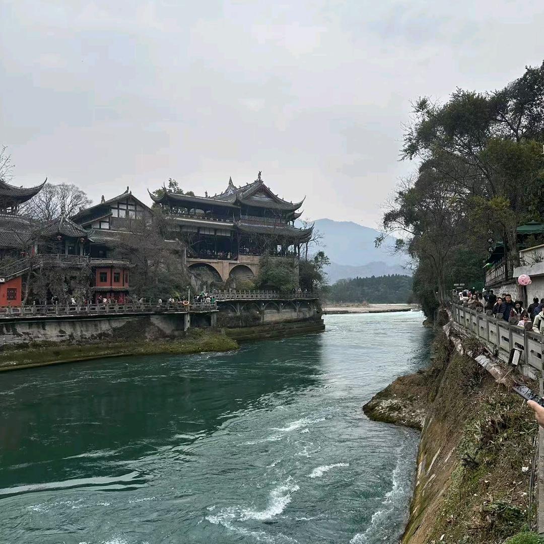 小杨