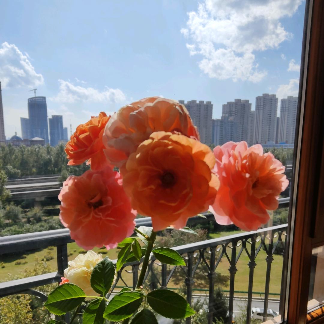 小粉丝927
