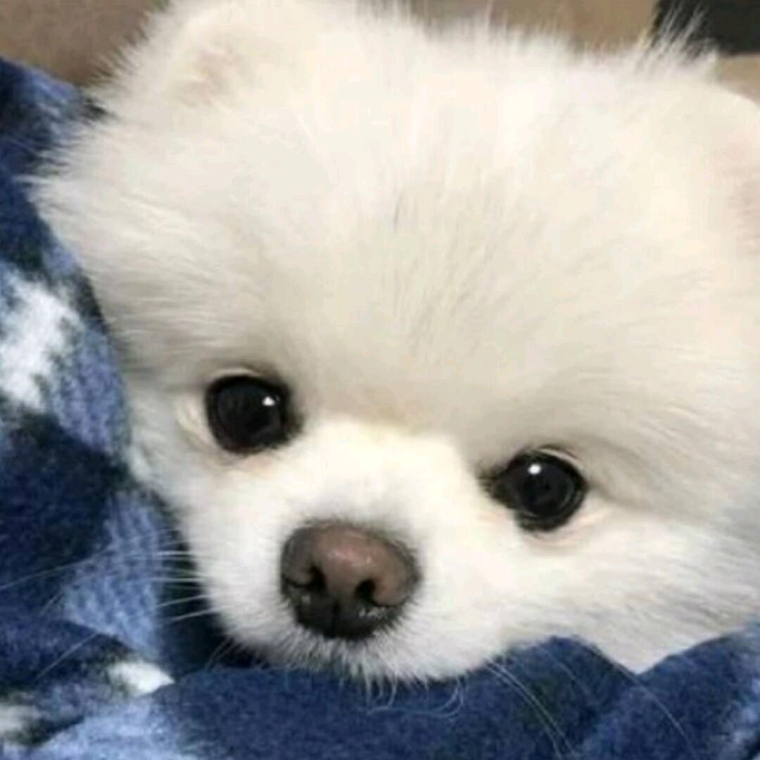 乔一一