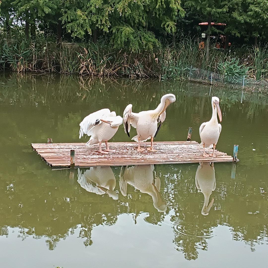 悠悠