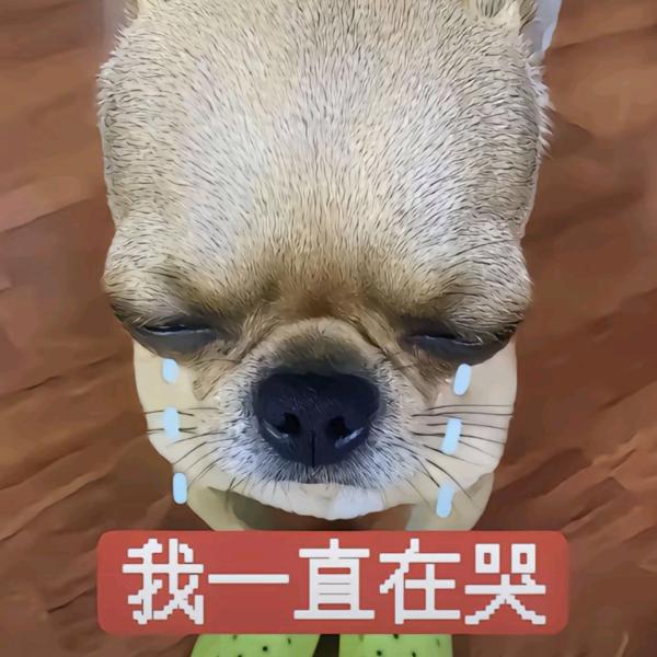 狡猾的农村入