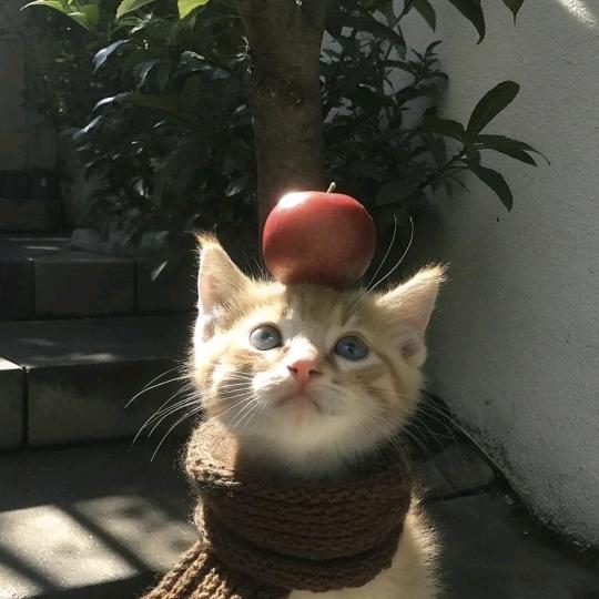 桀桀桀桀桀桀桀