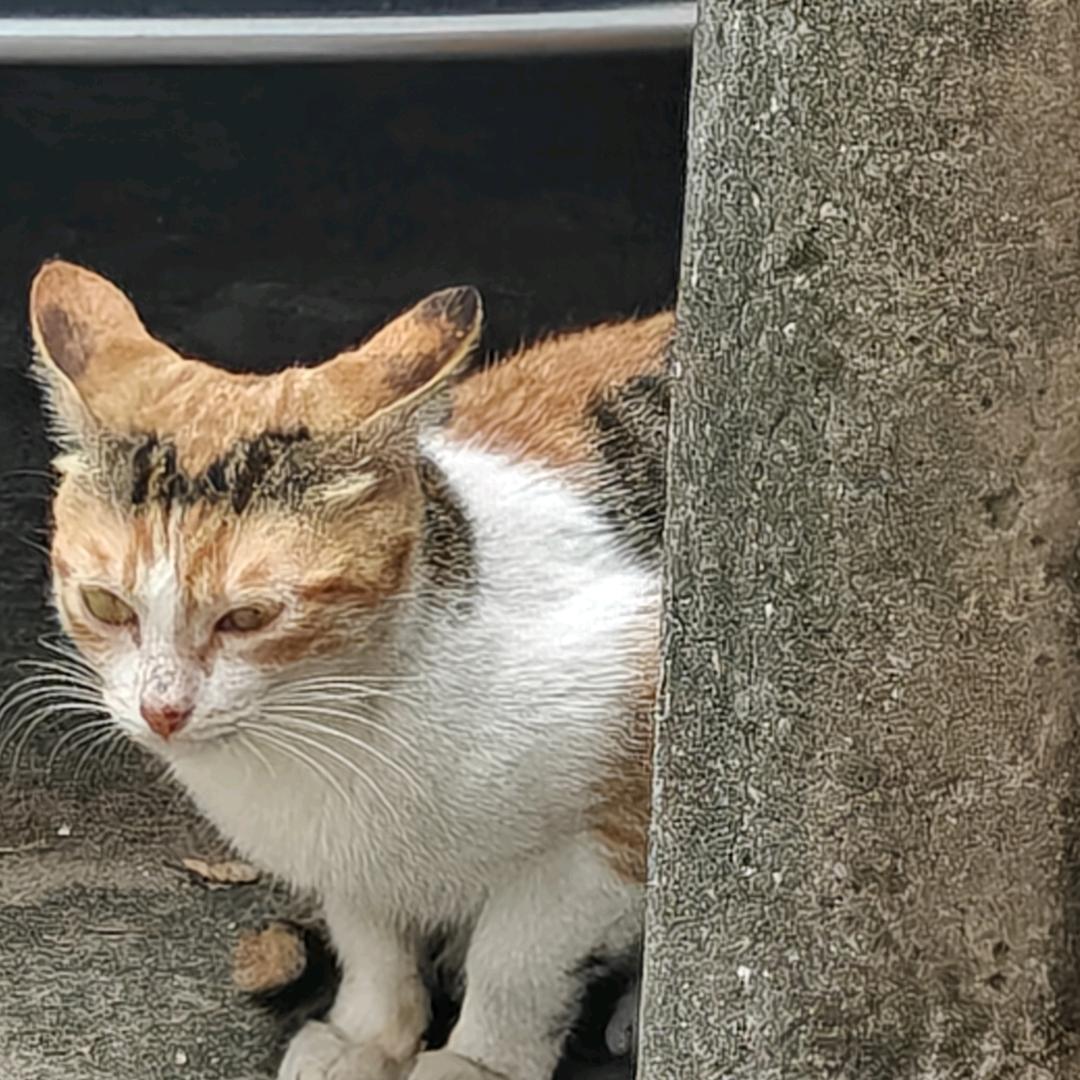 逍遥自在