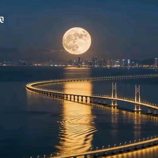 湾区报道