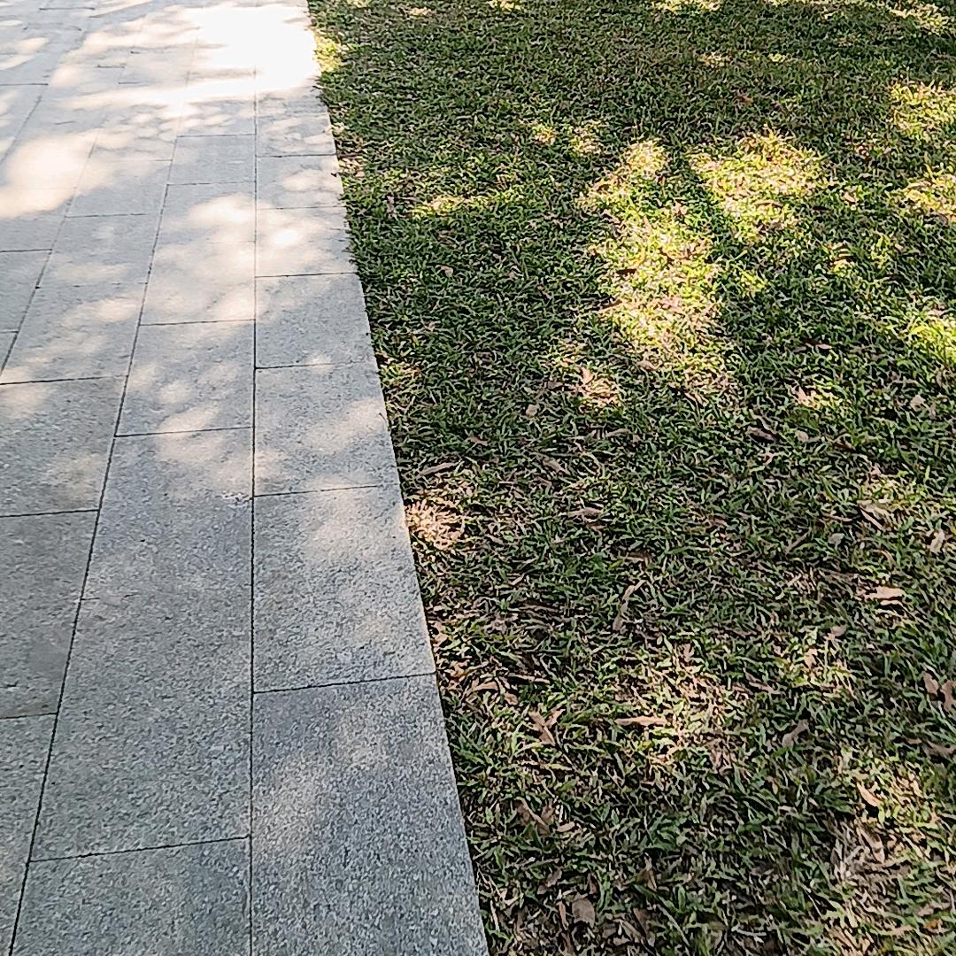 钟清
