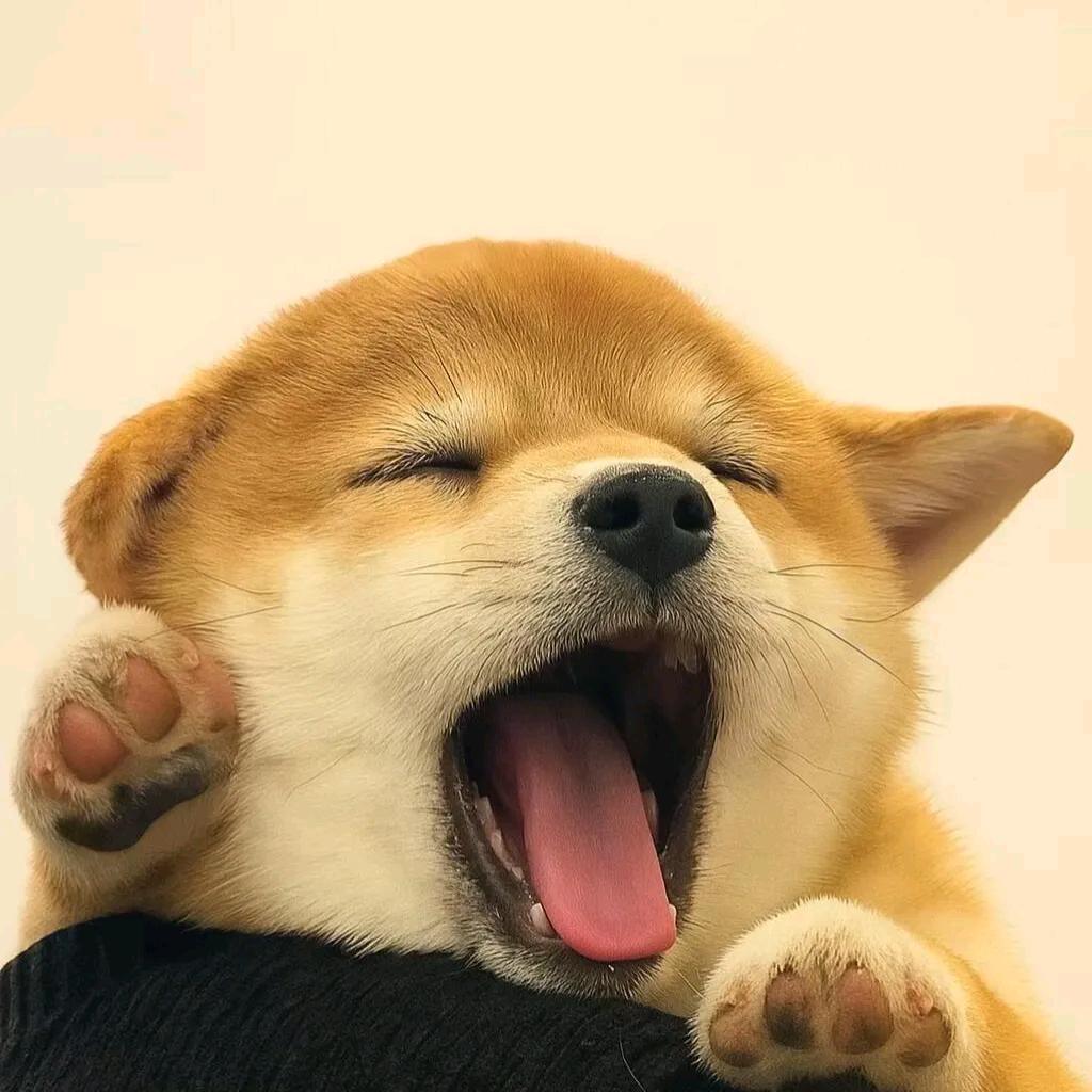 大咖妹