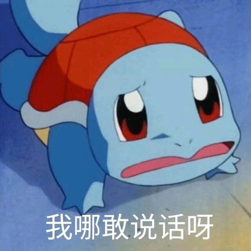 龟龟要睡觉咯