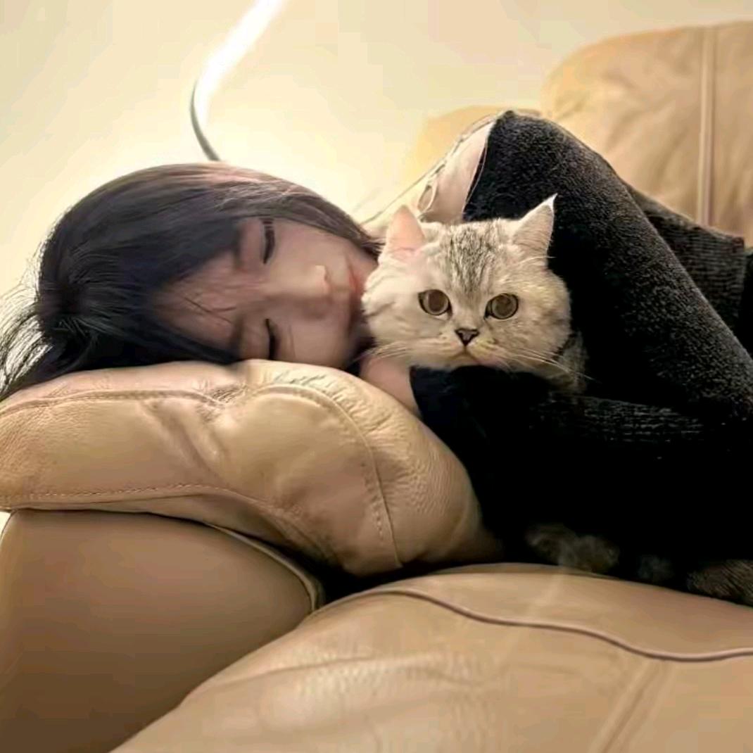 请给我一碗小米饭