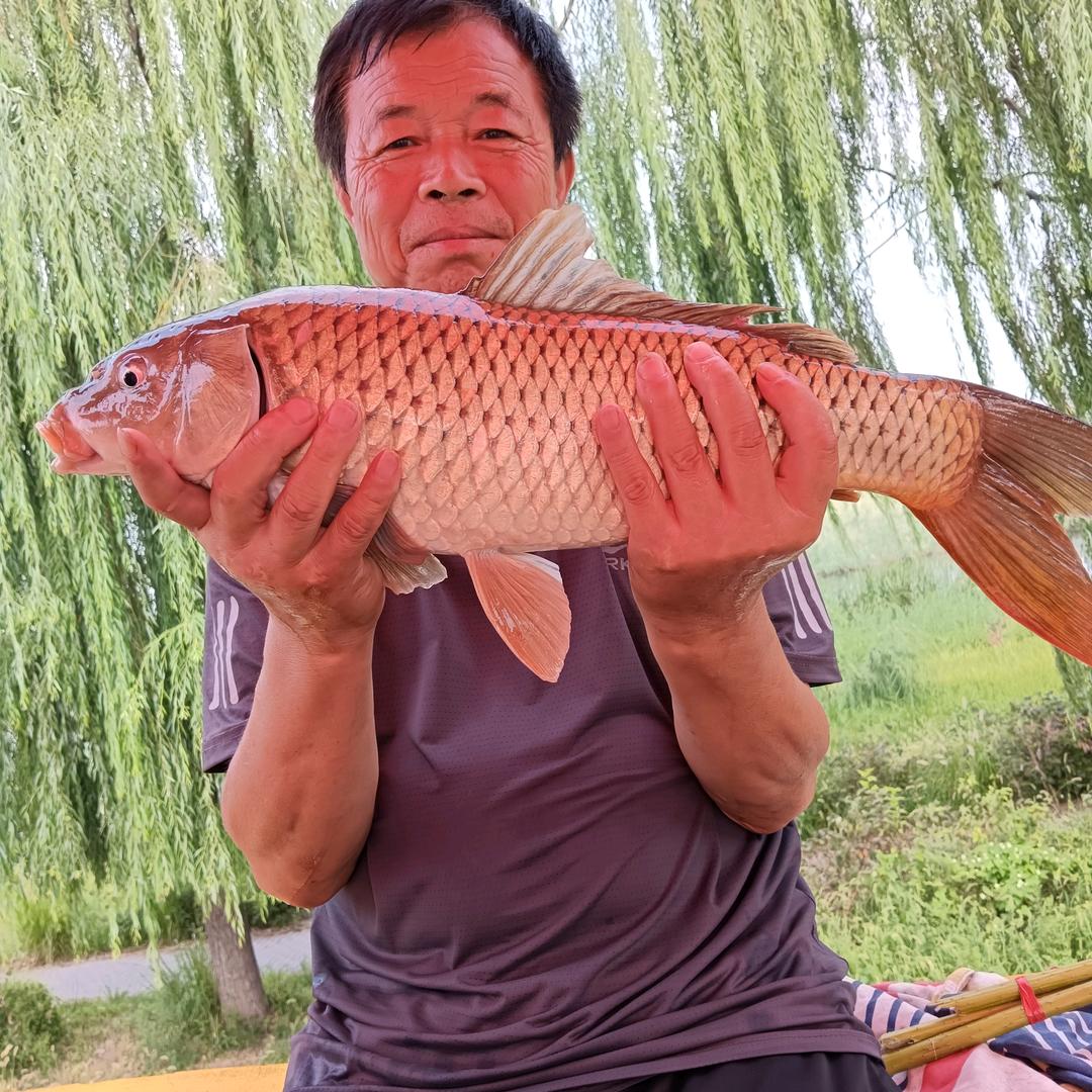 刘顿楼