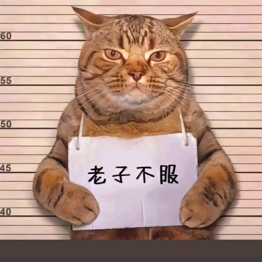 彭哈哈摆摊日记（火鸡面大王）